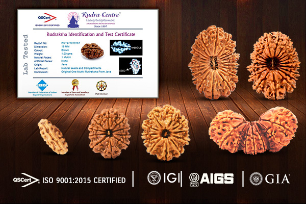 Why Buy from Rudra Centre