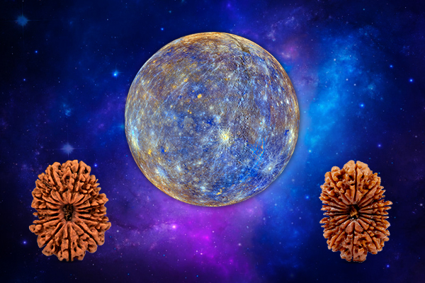 Rudraksha for Mercury (Budh Graha) Sign