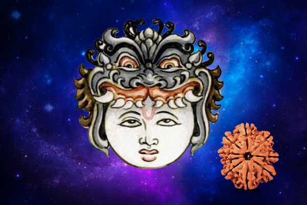 Rudraksha for North Node (Rahu) Sign