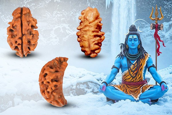 1 Mukhi Nepal Rudraksha: Complete Guide
