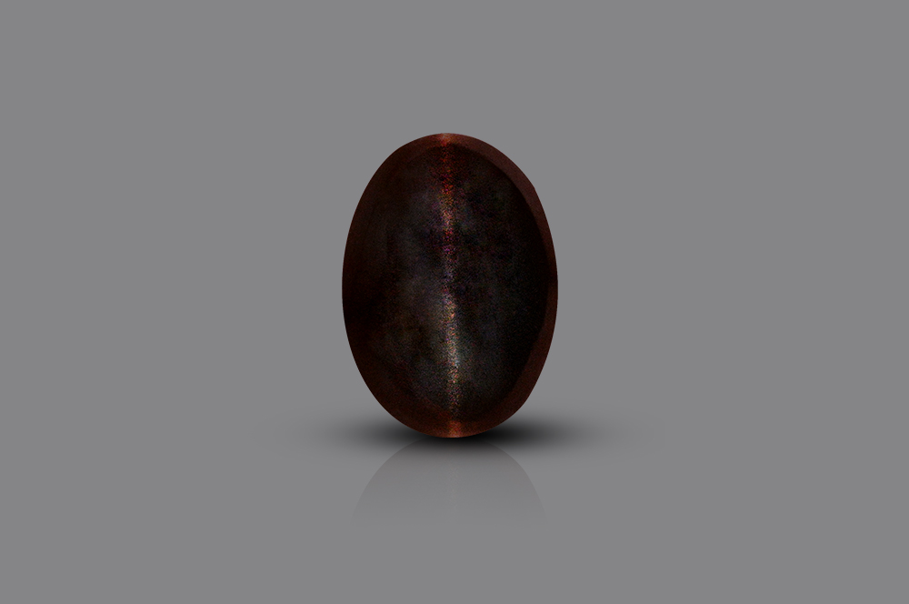 Black Cats Eye - 3.70 carats