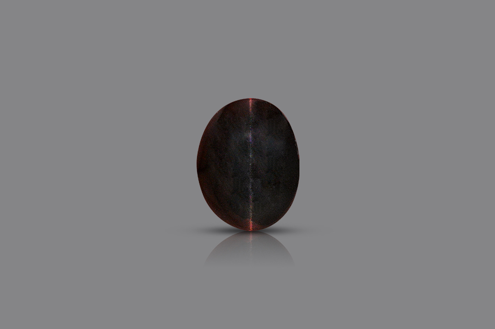 Black Cats Eye - 4.85 carats