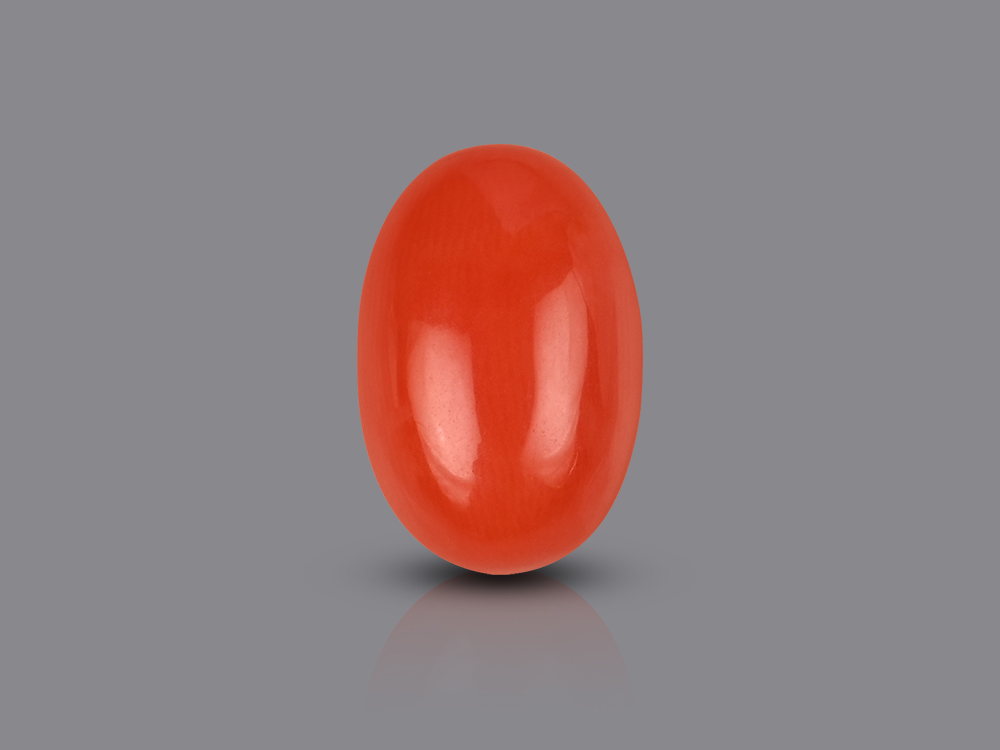Red Japanese Coral - 2.93 Carats