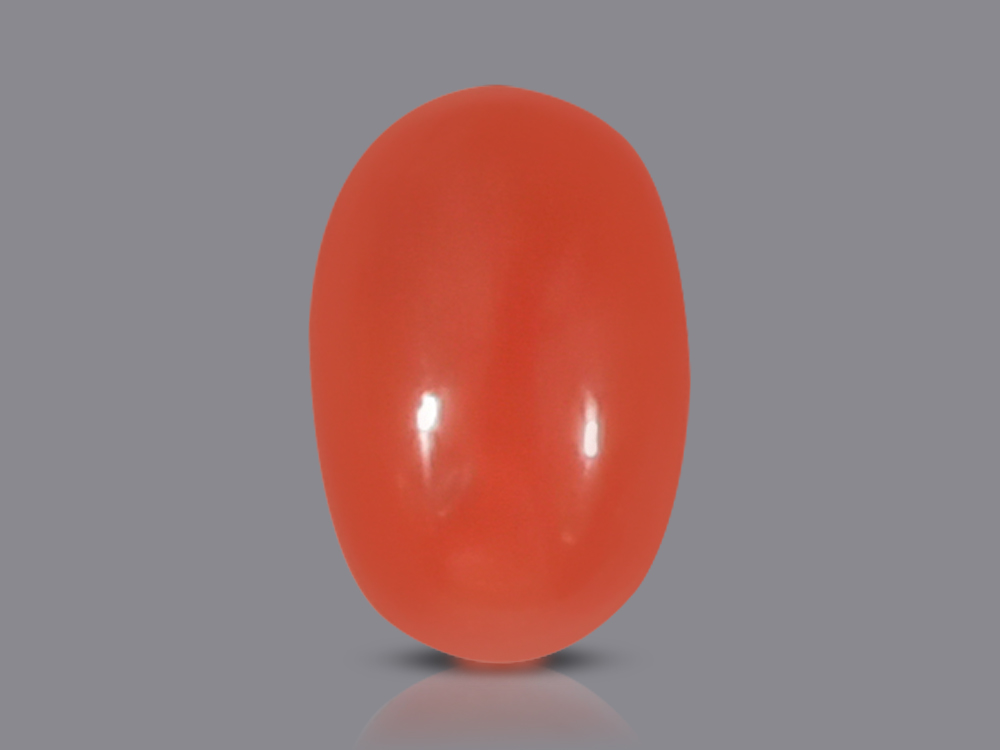Red Italian Coral - 3.10 Carats