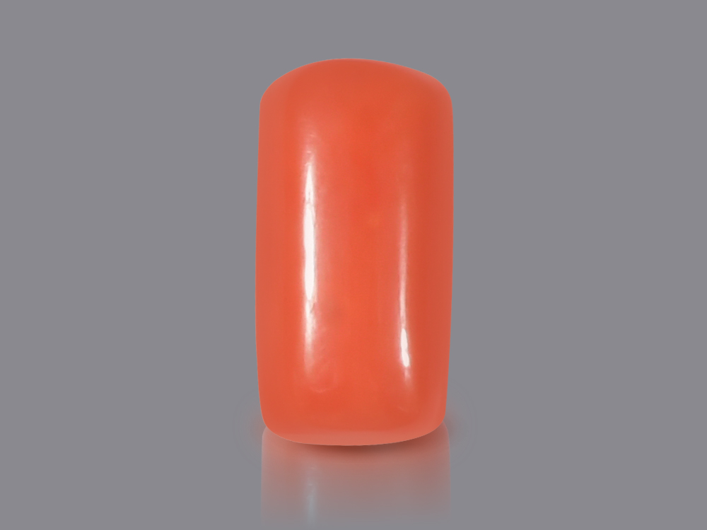 Red Italian Coral - 13.35 Carats