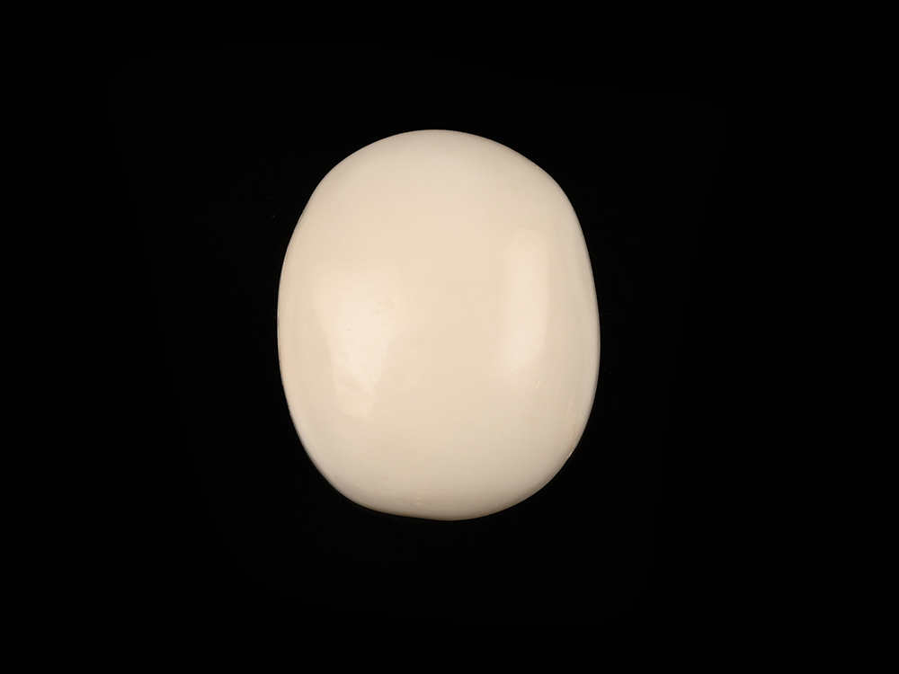 White Coral - 8.30 Carats