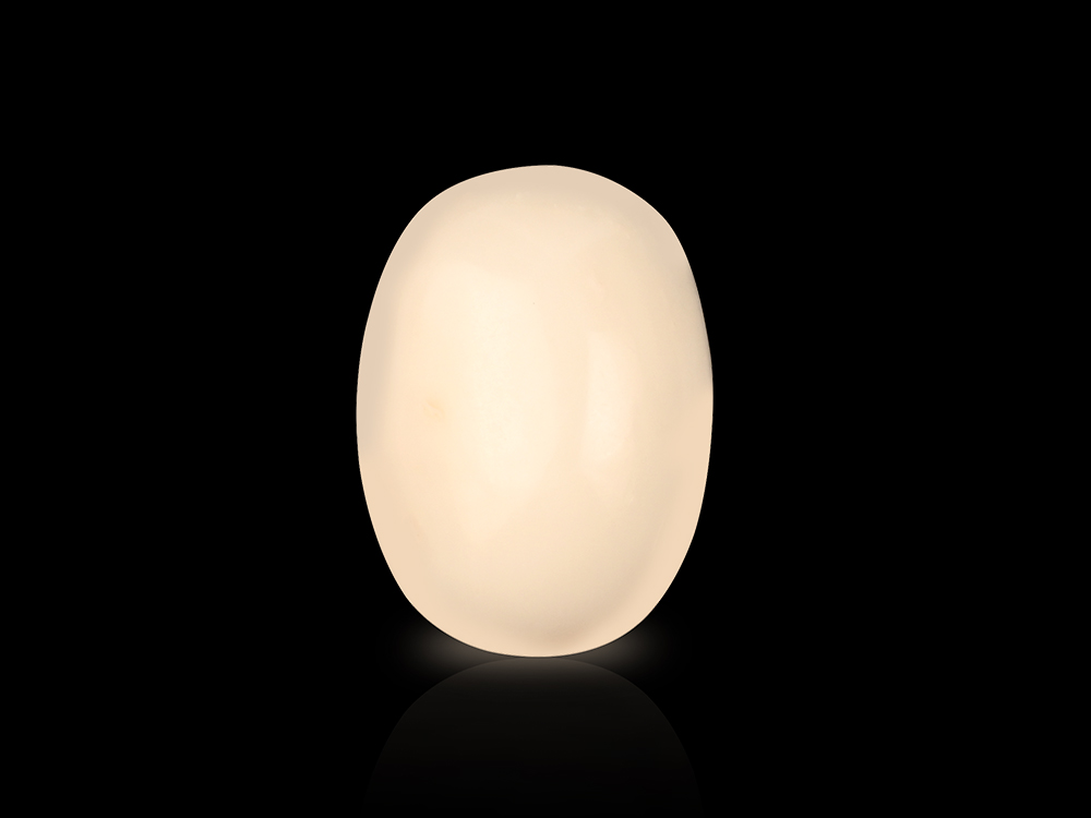 White Coral - 10.15 Carats