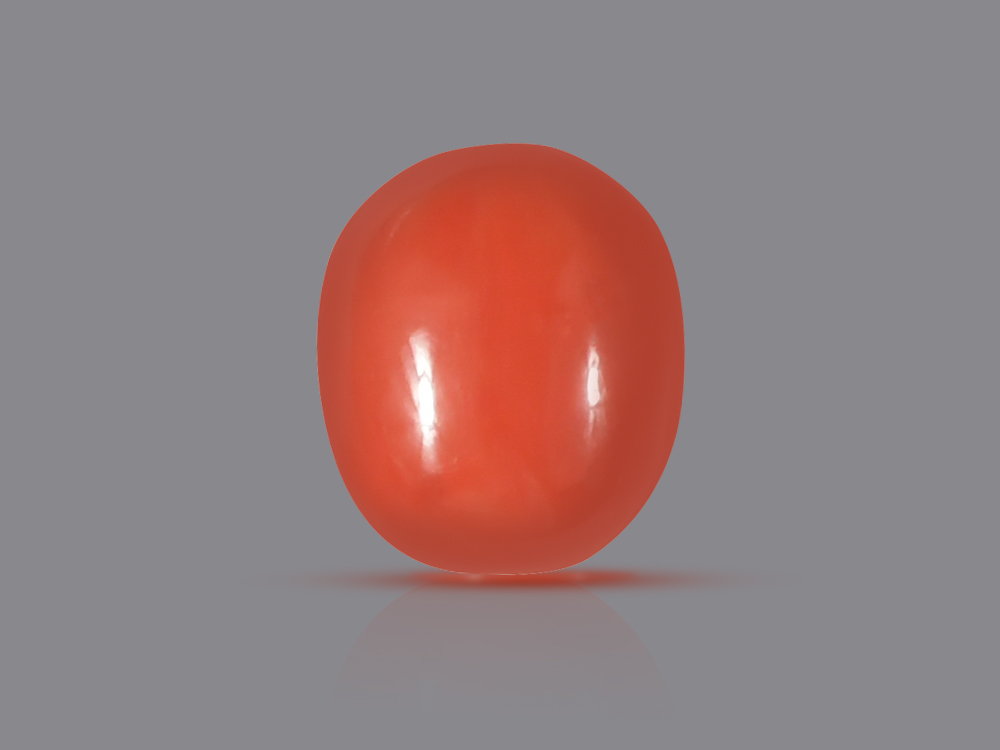 Red Italian Coral - 30.75 Carat