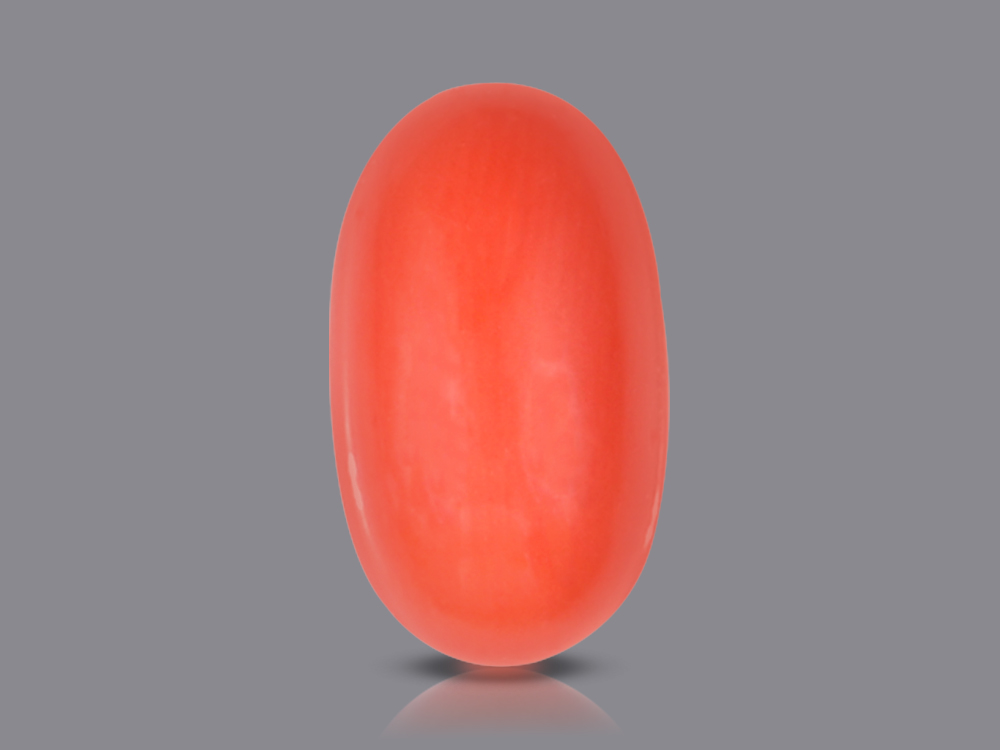 Red Italian Coral - 5.15 Carats