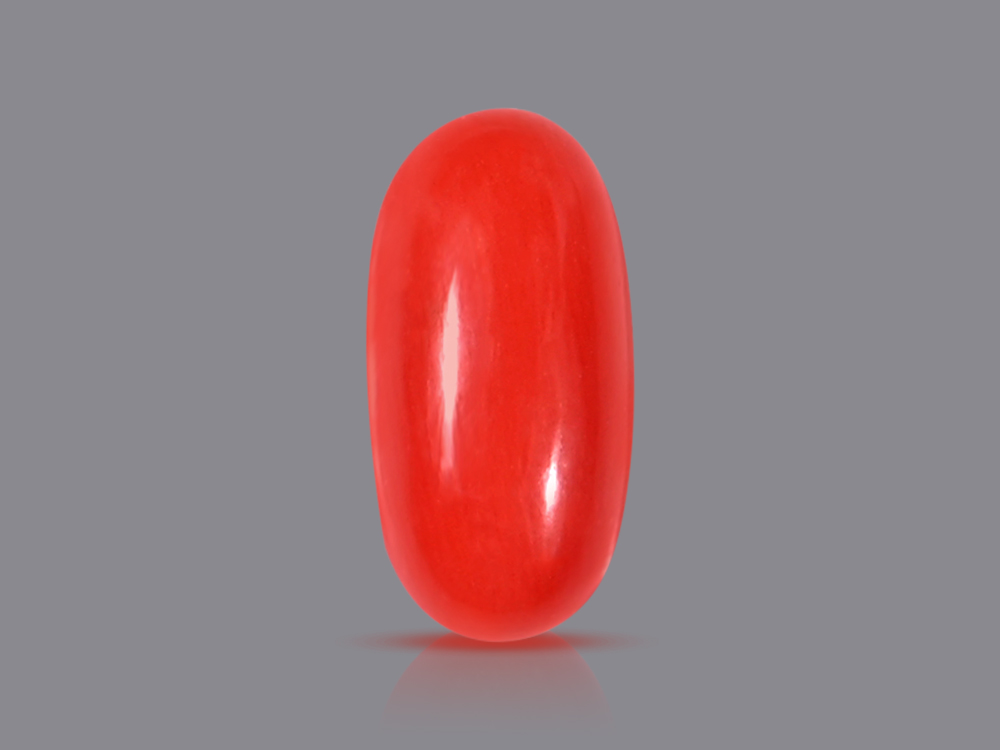 Red Italian Coral - 5.60 Carats