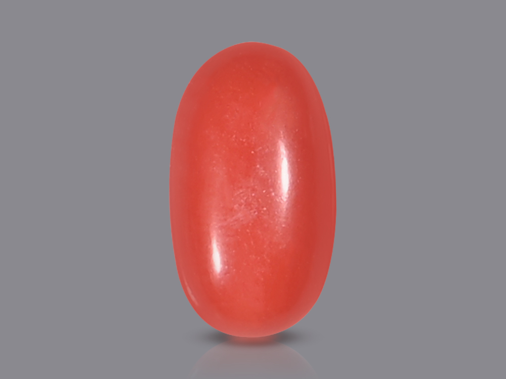 Red Italian Coral - 5.65 Carats