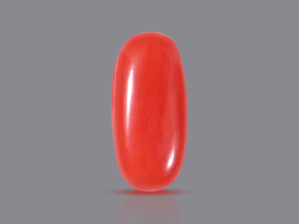 Red Italian Coral - 6 Carats