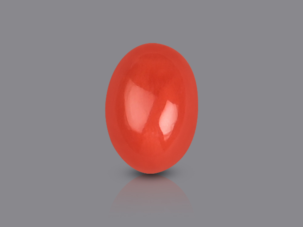 Red Italian Coral - 4.10 Carats