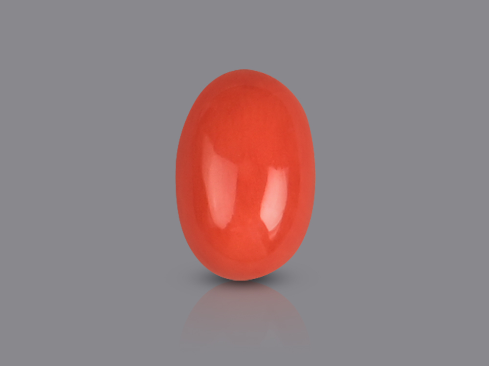 Red Italian Coral - 4.10 Carats