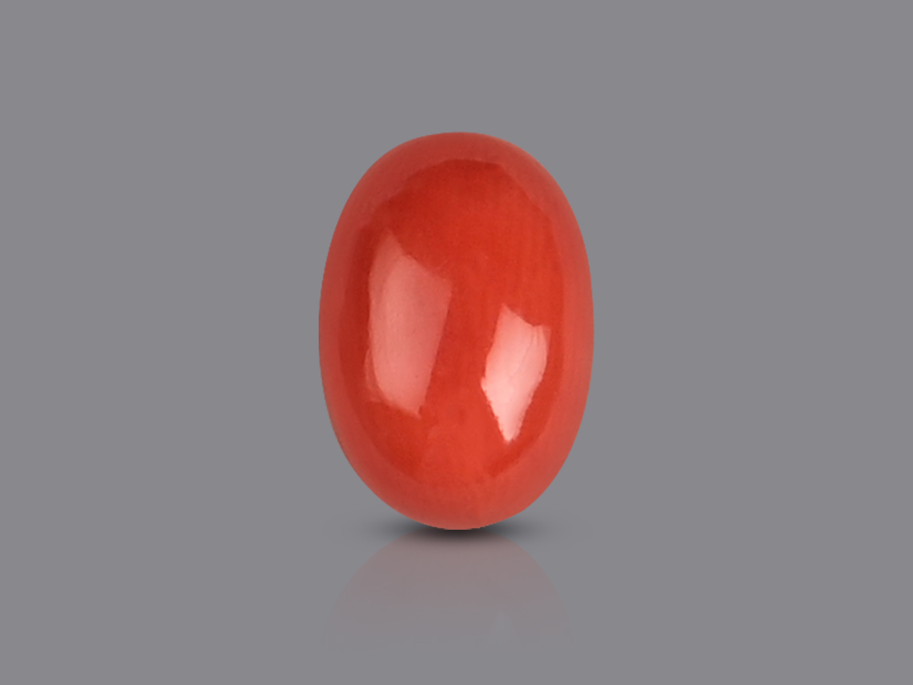 Red Italian Coral - 4.10 Carats