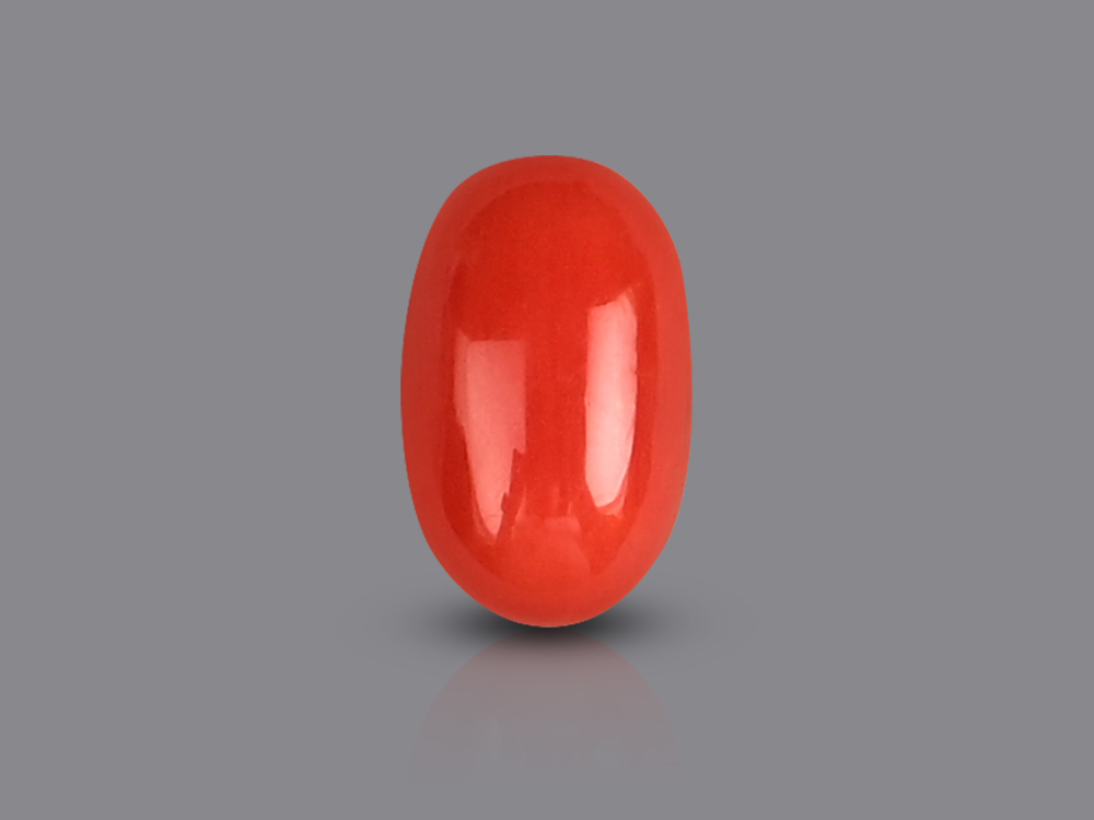 Red Italian Coral - 4.10 Carats