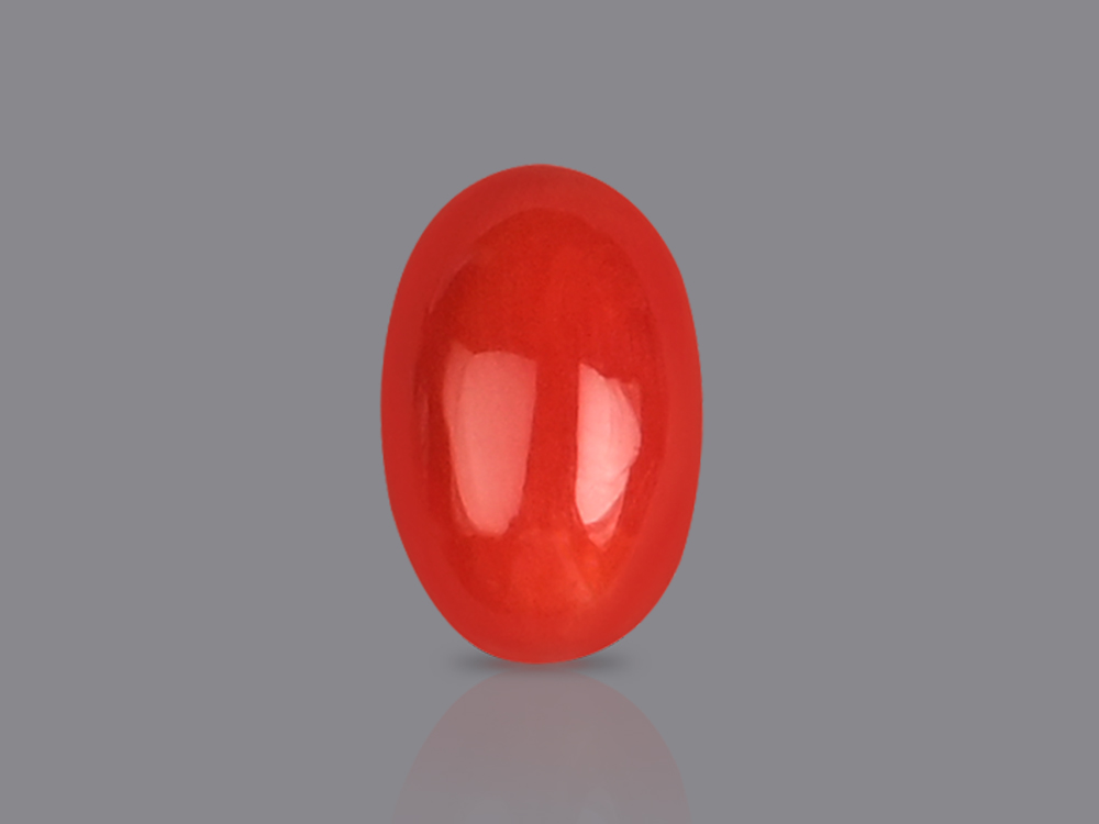 Red Italian Coral - 4.30 Carats
