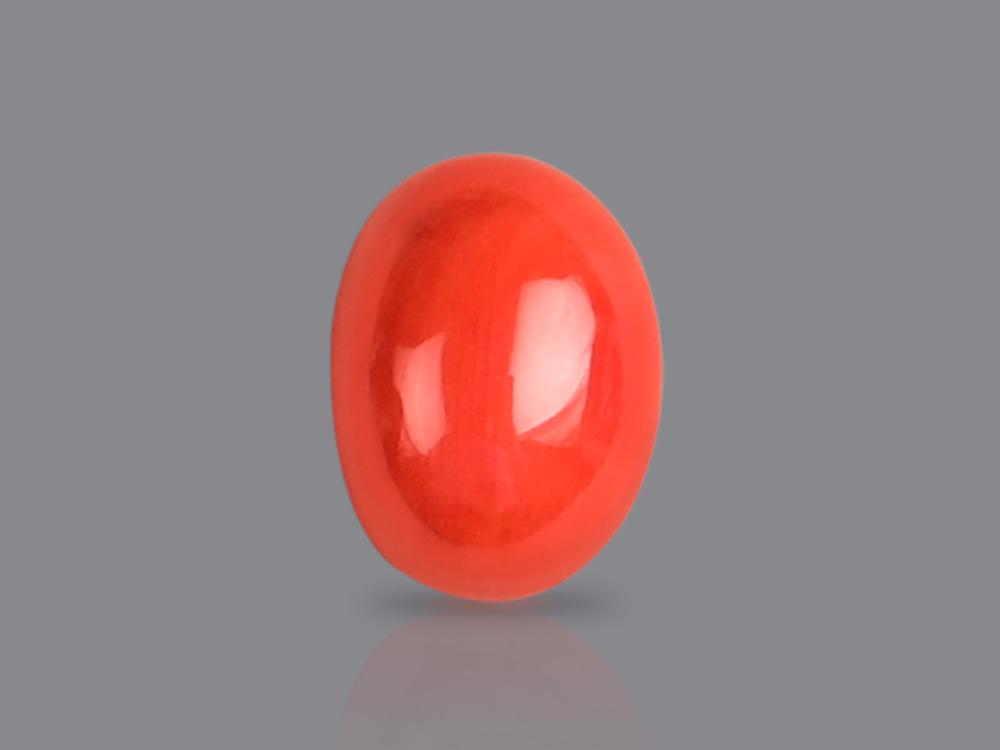 Red Italian Coral - 4.55 Carats