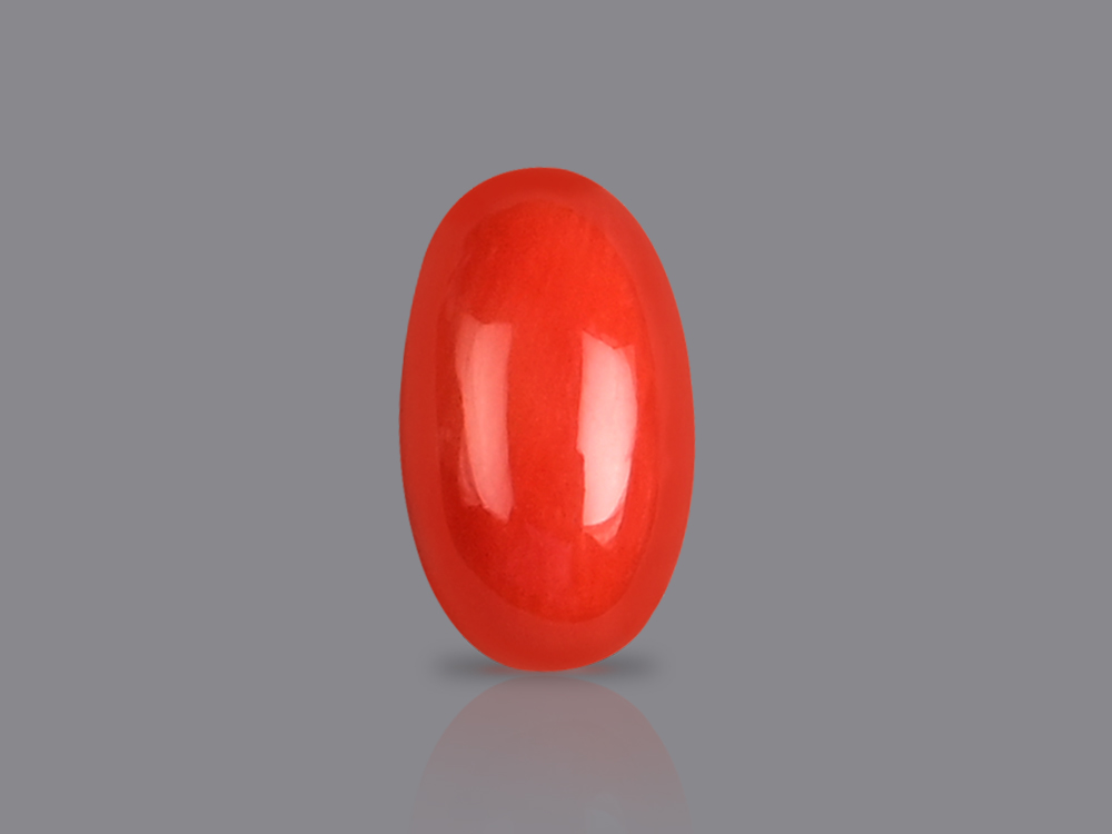 Red Italian Coral - 4.75 Carats