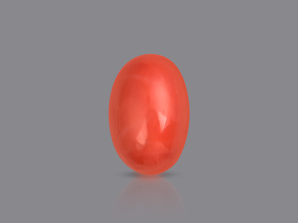 Red Italian Coral - 9.85 Carats
