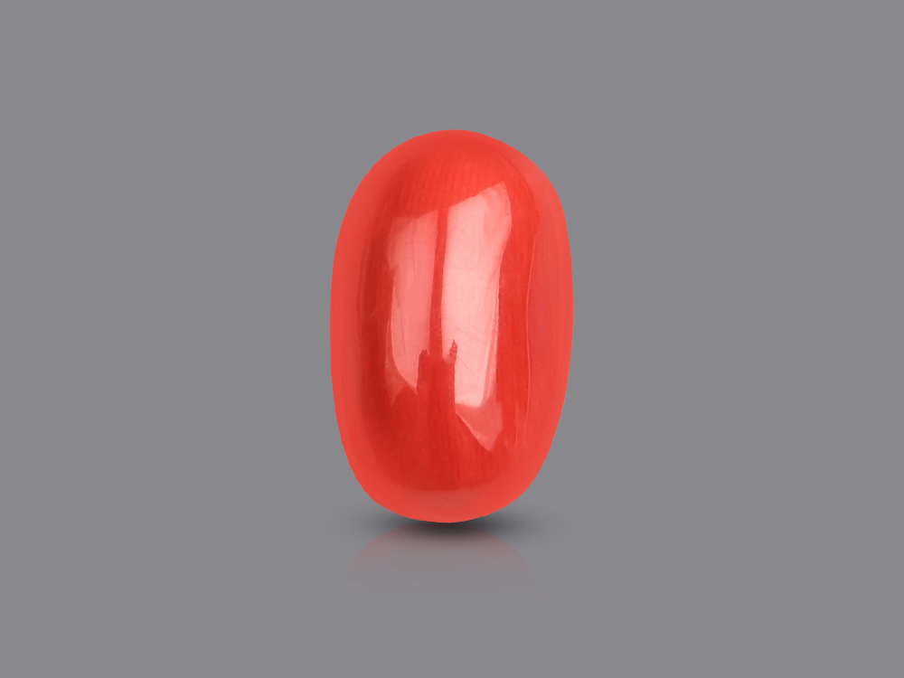 Red Italian Coral - 22.05 Carats