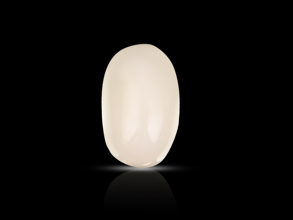 White Coral - 5.50 Carats