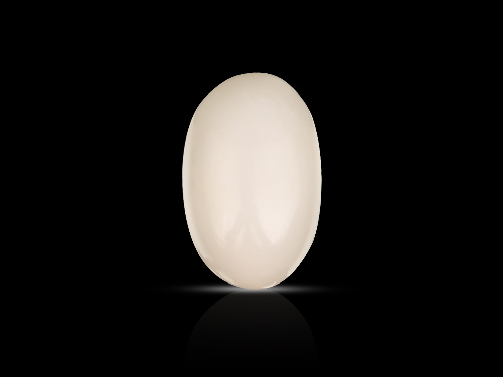 White Coral - 5.70 Carats