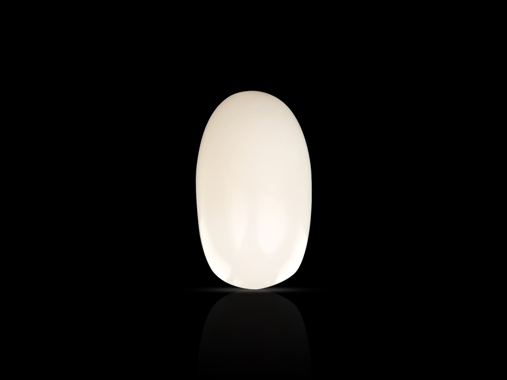 White Coral - 6.40 Carats
