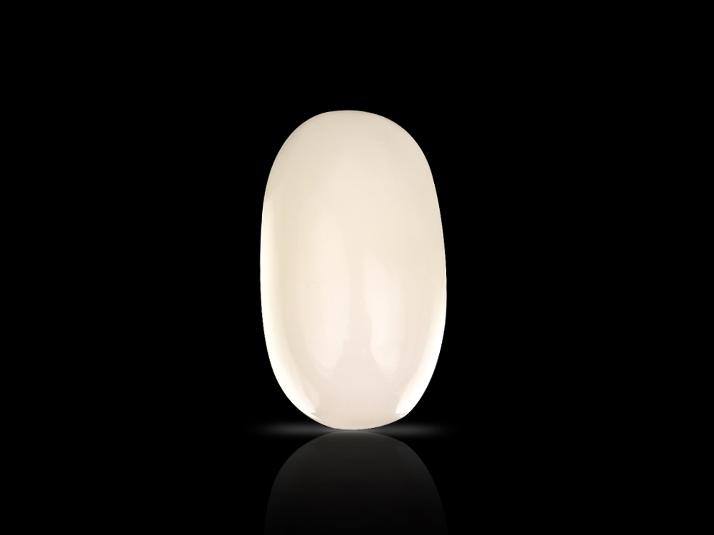 White Coral - 7 Carats