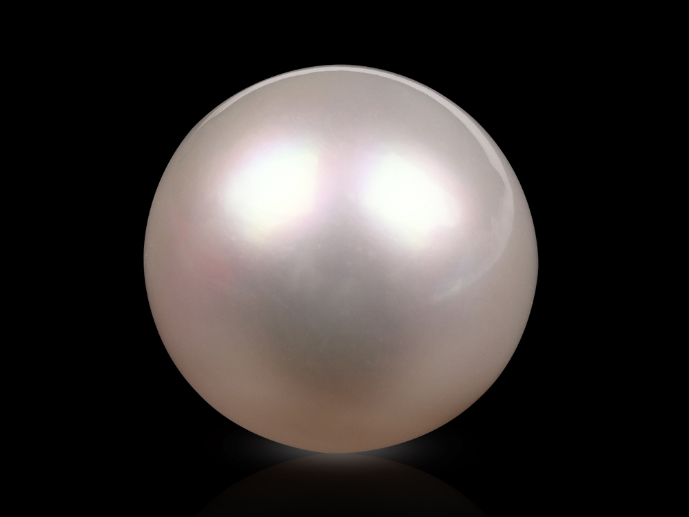 South Sea Pearl -16.80 Carats