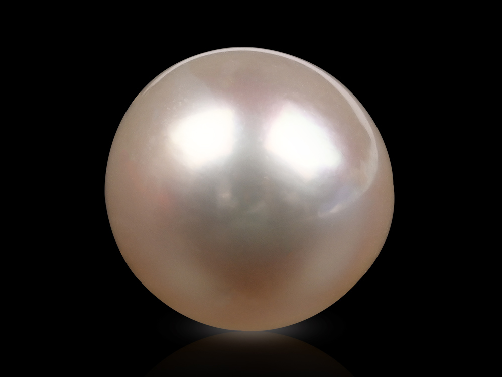 South Sea Pearl -14.55 Carats