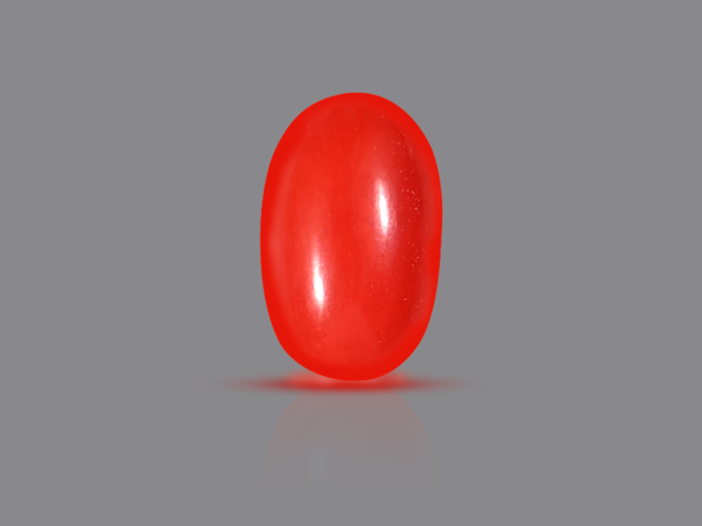 Red Italian Coral - 4.60 Carats