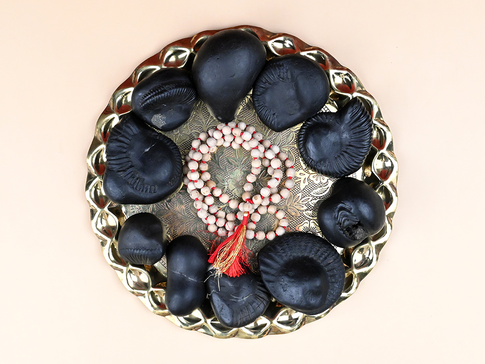 Dashavatar Shaligram Shila Set - 3.4 Kgs