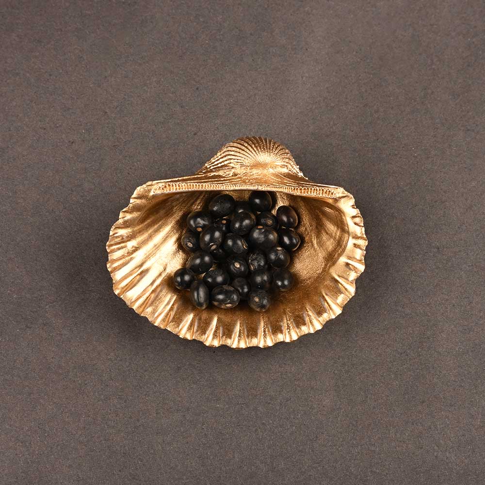 Sea Shell With Gunja