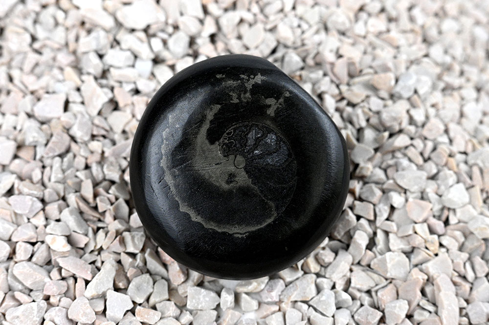 Golden Crystal Sudarshan Kuber Vasuki Shaligram Shila