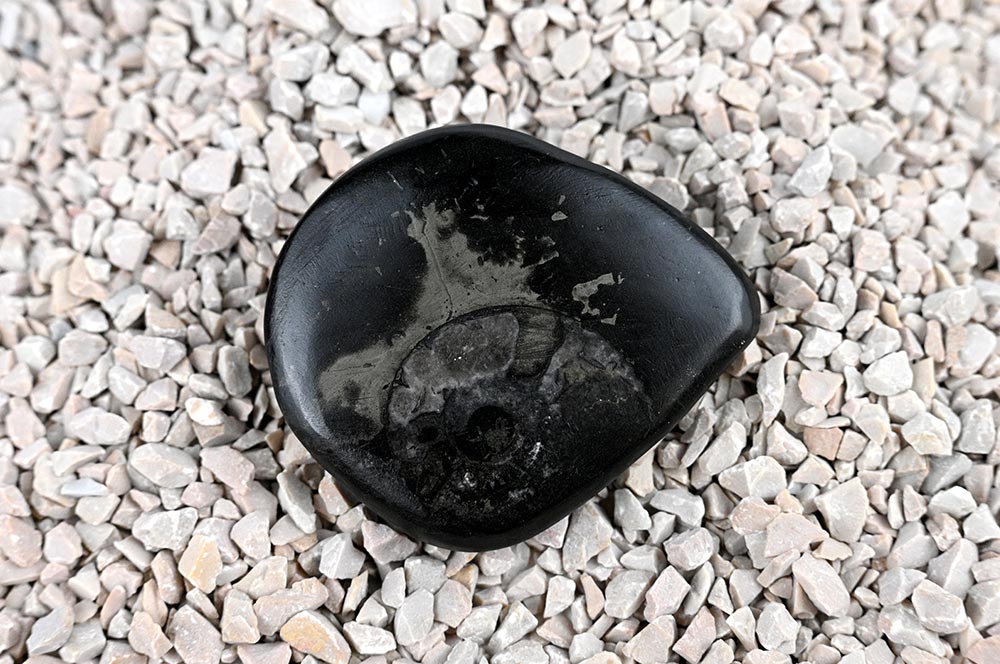 Golden Crystal Samudra Manthan Sudarshan Kurma Shaligram Shila