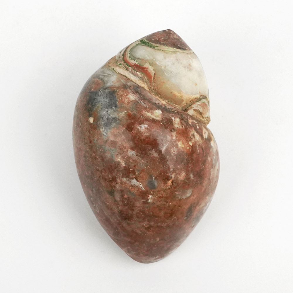 Samudra Vyoma Madhyasthaa (The Goddess who is in between Sky and Ocean