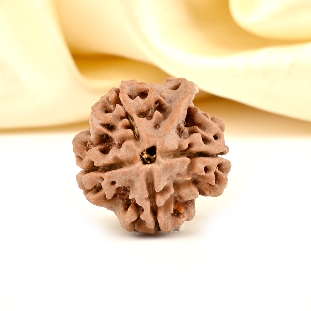 Ganesh Rudraksha 4 Mukhi from Nepal - X