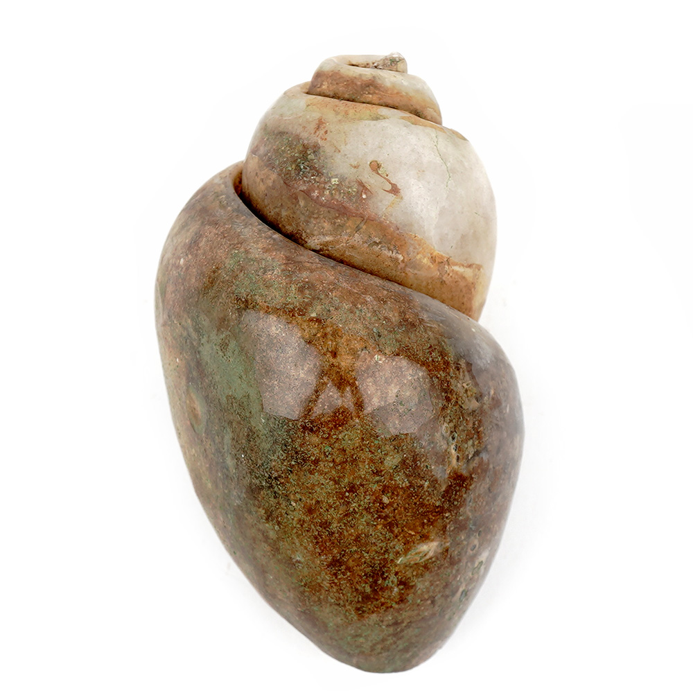 Heera Shankh Conch - 115 gms