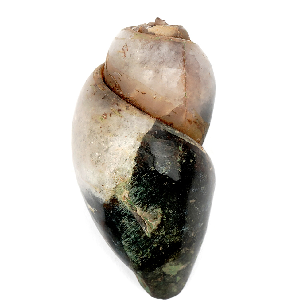 Heera Shankh - 112 gms