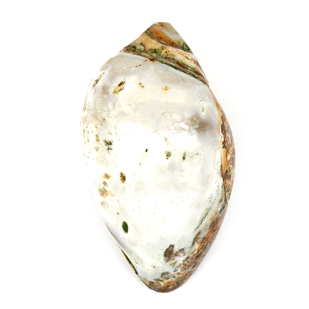 Heera Shankh - 52 gms