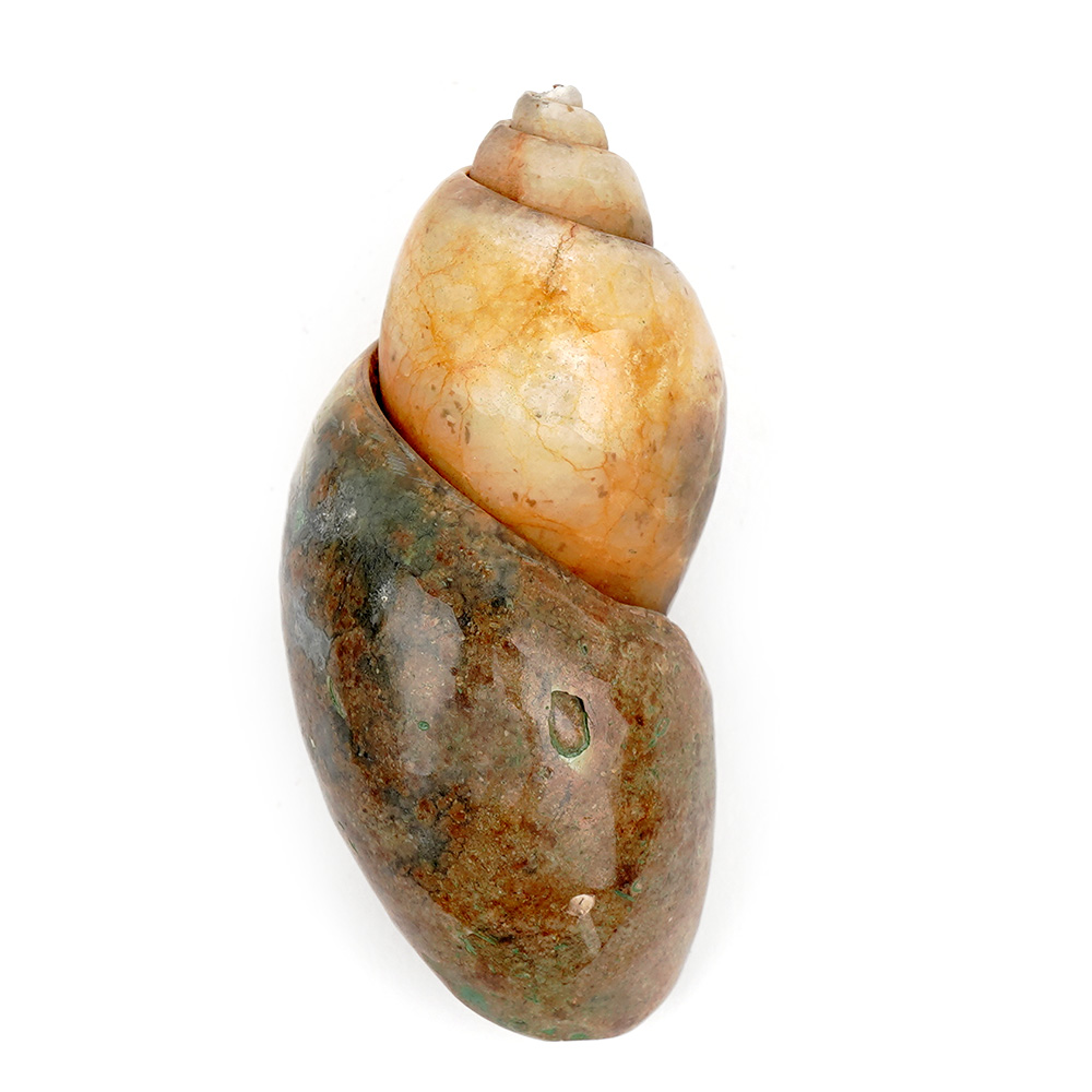 Heera Shankh - 87 gms