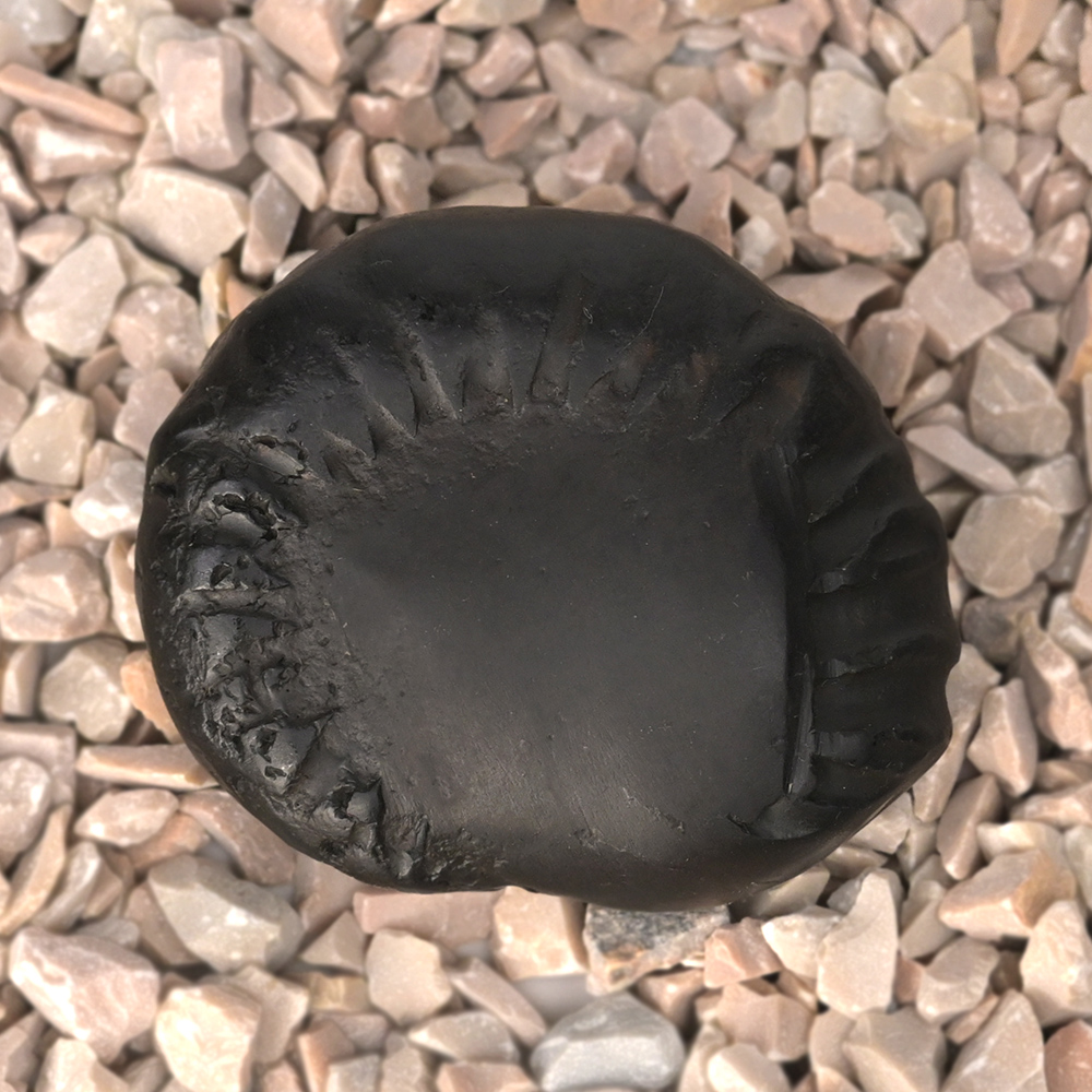 Vishnu Shaligram Shila - II