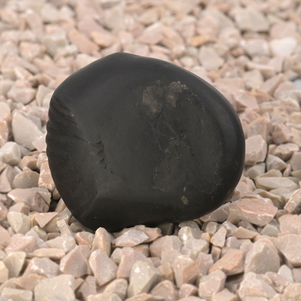 Krishna Paduka Shaligram Shila - I