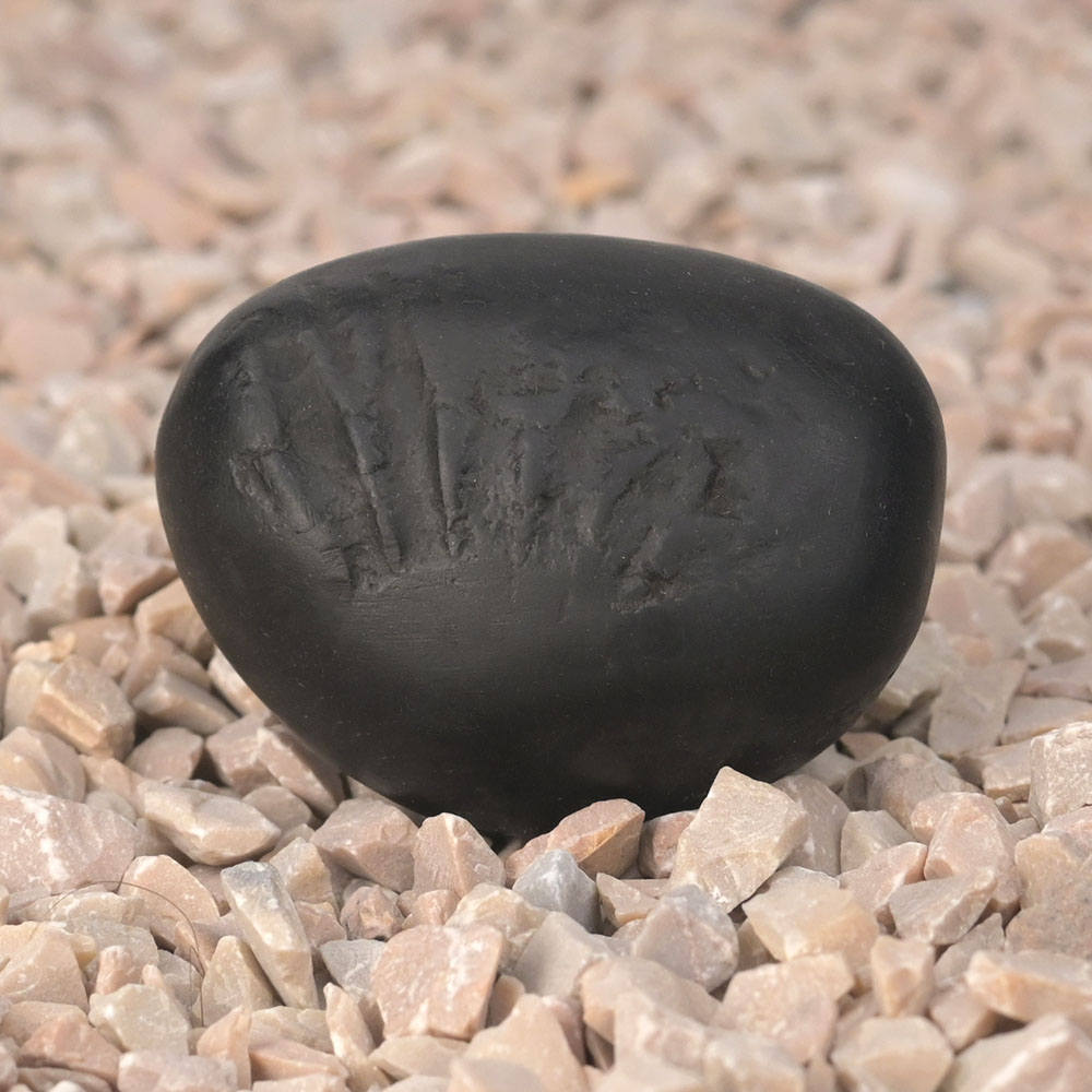 Surya Shaligram Shila - IV