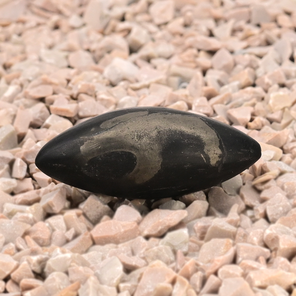 OM Swarna Matsya Shaligram Shila