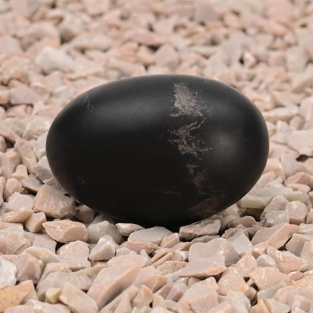 Swarna Harihara Lingeshwar Shaligram Shila