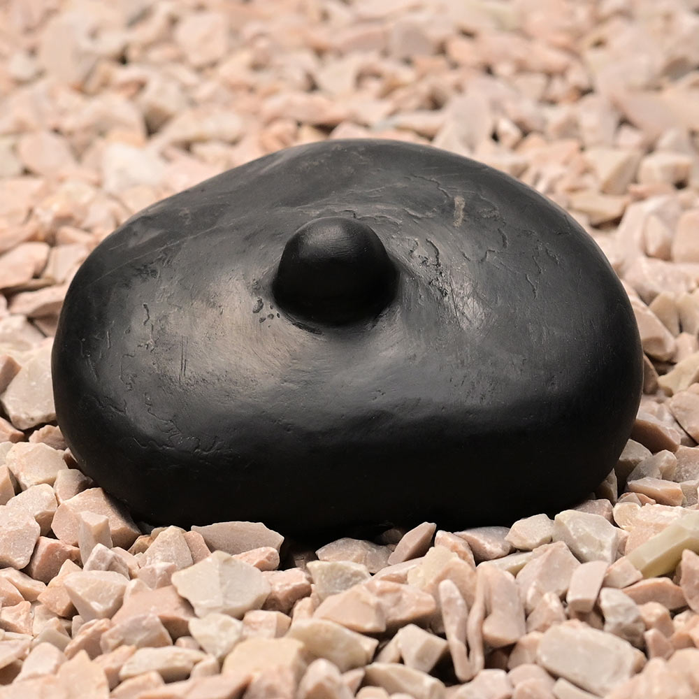 Swarna Kalpavriksha Shivling Shaligram Shila