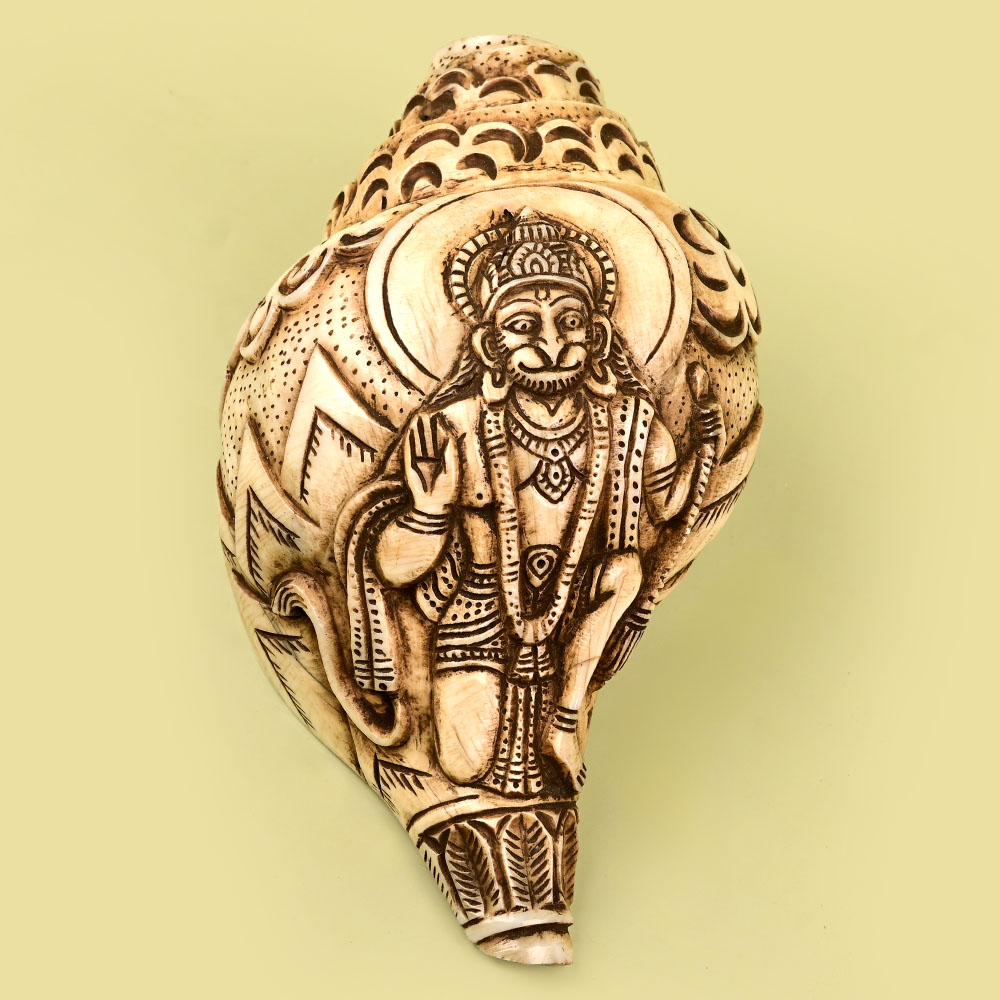 Shree Hanuman Carved Natural Shankh
