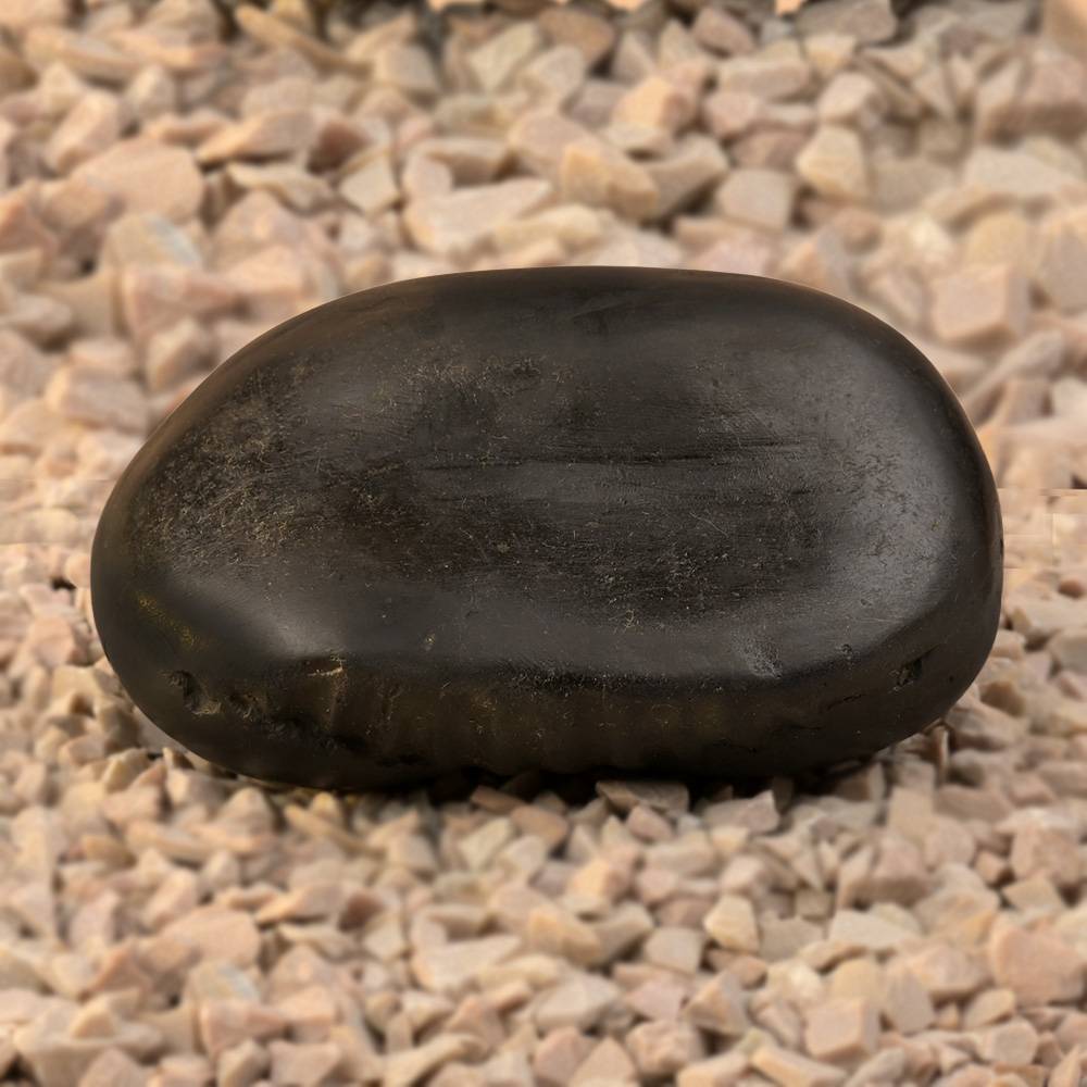 Kalki Mahavatar Shaligram Shila